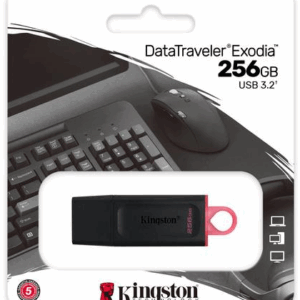 Kingston DataTraveler Exodia USB Stick – 256GB