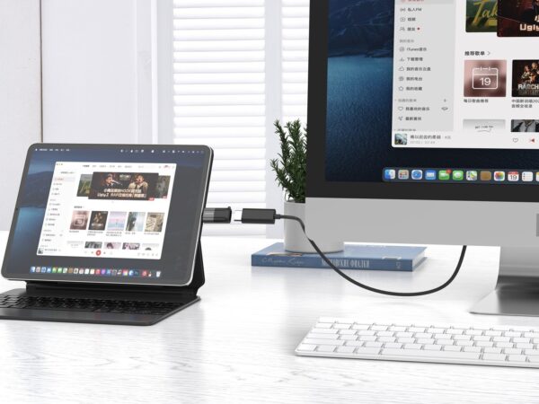 Xssive USB-C to HDMI Adapter XSS-C HDMI - Afbeelding 3